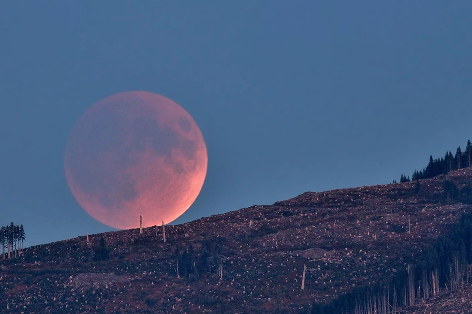 Εικόνα τεκμηρίωσης της NASA για το θέμα: Τι είναι επάνω: Αύγουστος 2026 Skywatching Συμβουλές από τη NASA.