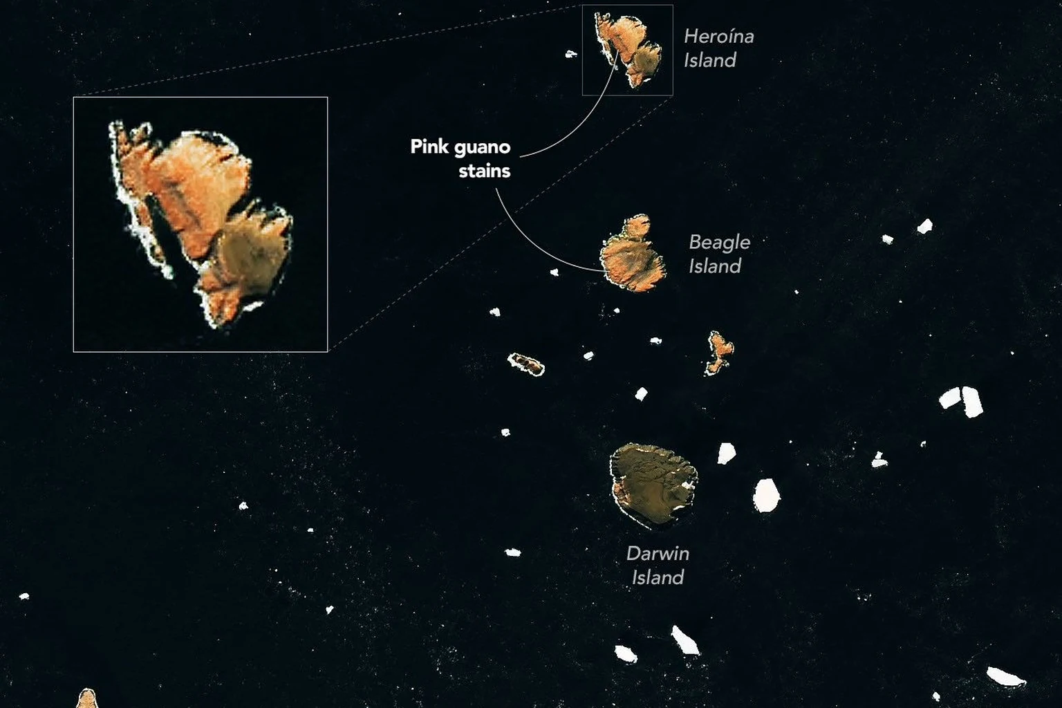 Εικόνα τεκμηρίωσης της NASA για το θέμα: Pink Penguin Guano παρέχει στοιχεία διατροφής.