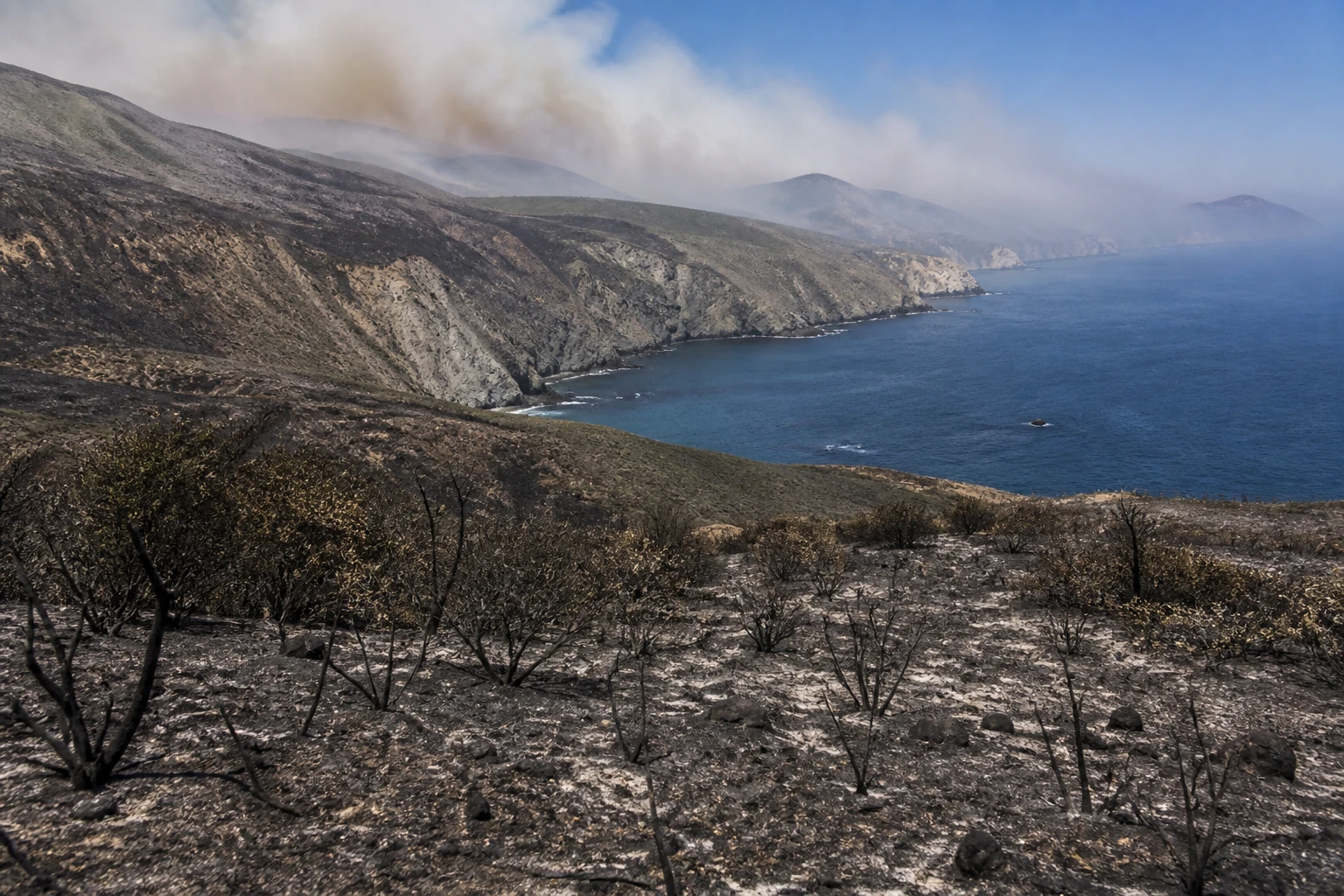 Δημοσιογραφική εικονογράφηση: Το Αποτύπωμα της Φωτιάς στο Νησί Σάντα Ρόζα