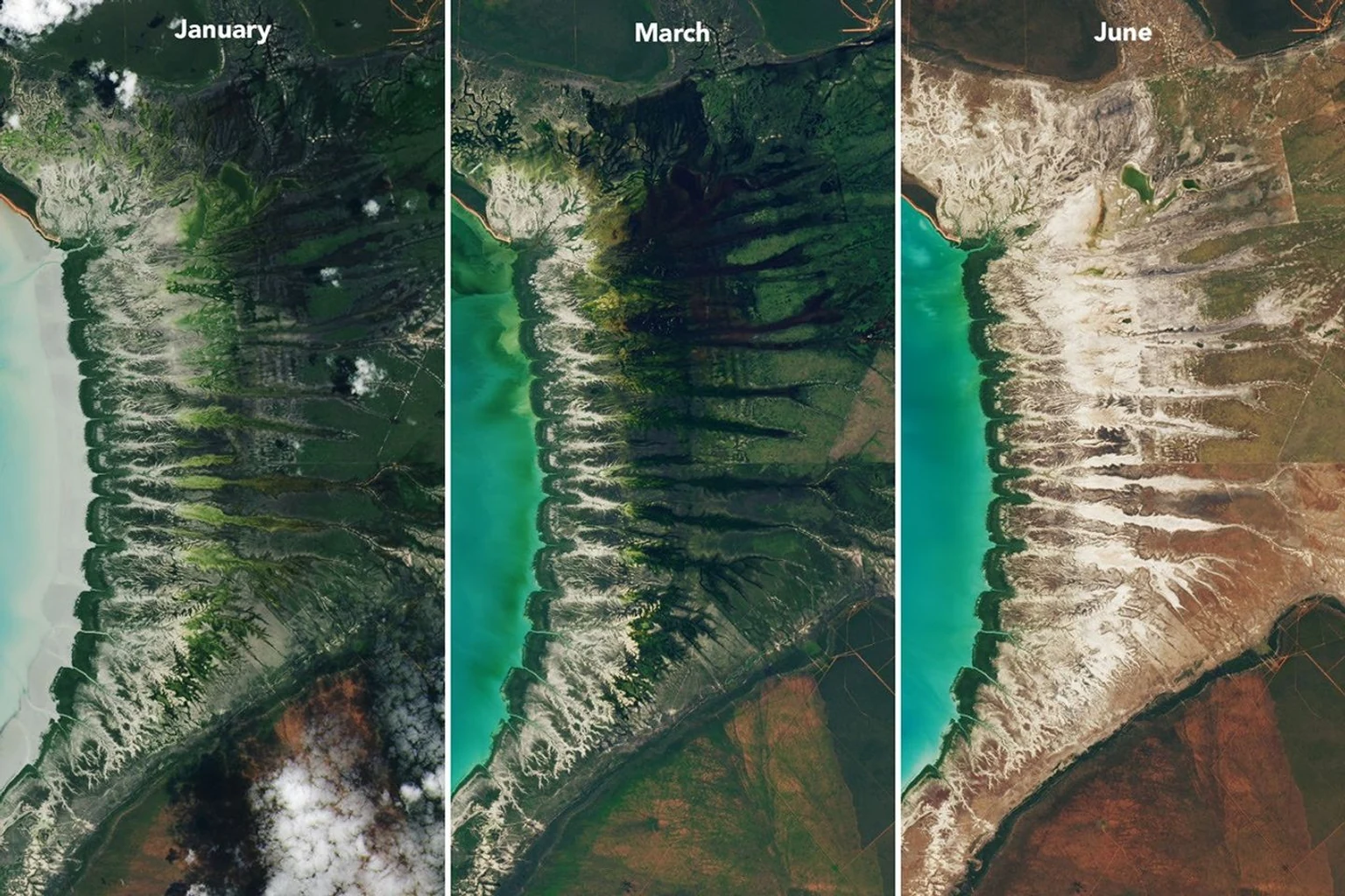 Εικόνα τεκμηρίωσης της NASA για το θέμα: Αυθόρμητος κόλπος Roebuck.